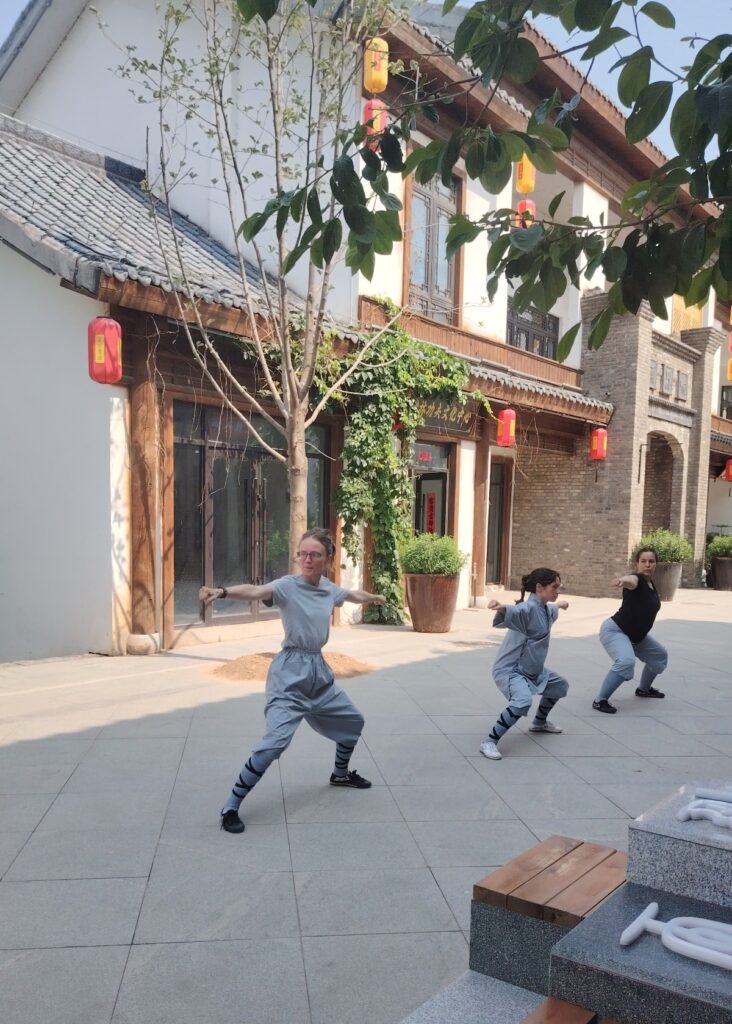 Tiger Style Kung Fu-træning