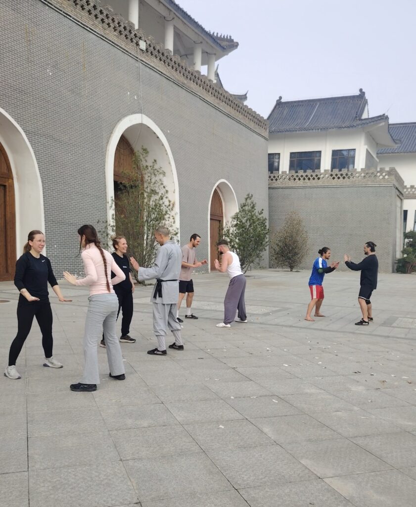 Обучение тайцзи в Китае Аутентичное руководство Ханьдань Шаолинь
