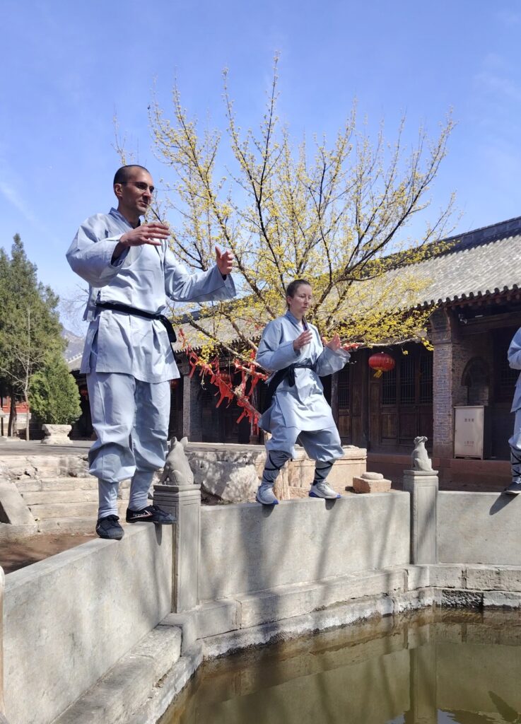 Обучение тайцзи-кунг-фу в Китае