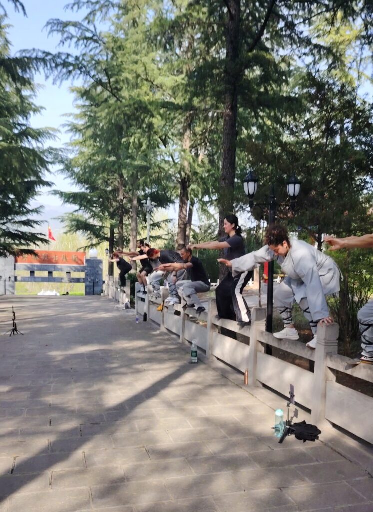 Что такое ци Определение